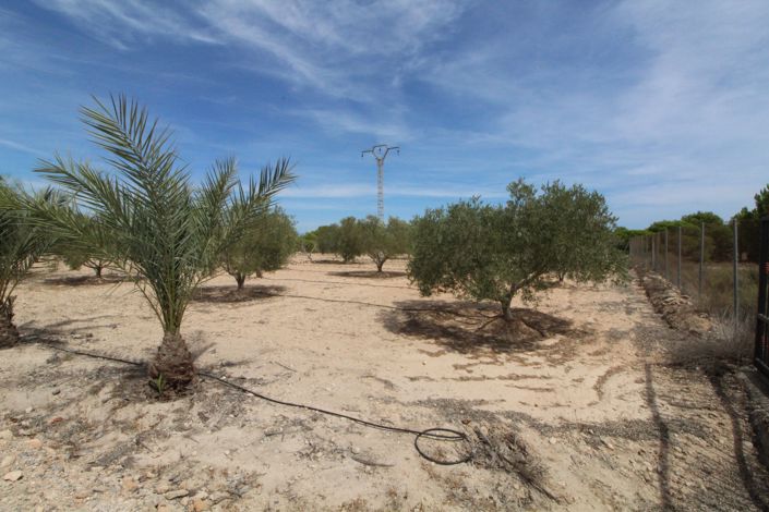 Image No.12-Land for sale