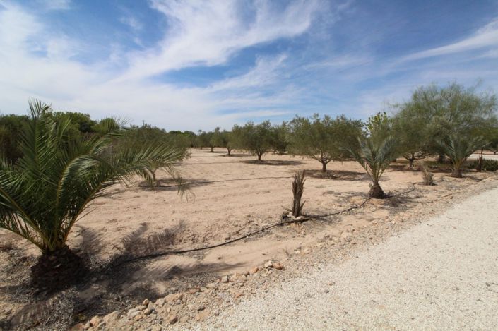 Image No.13-Land for sale