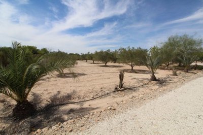 9158rusticland020923110812img6619