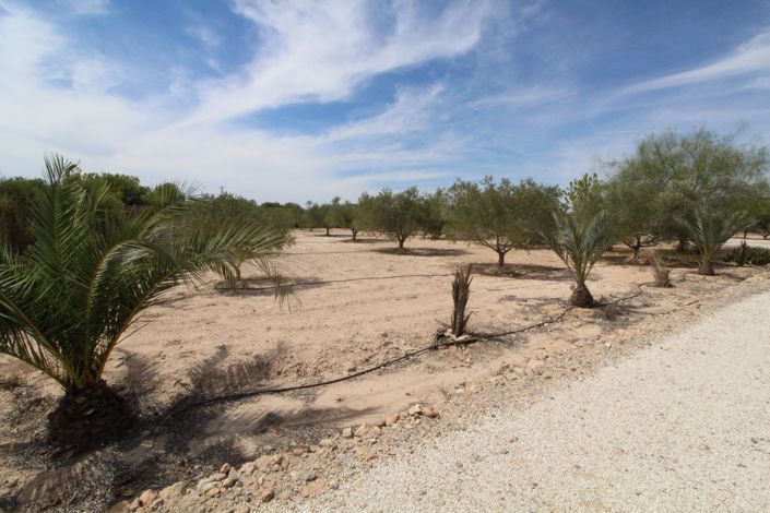 Image No.13-Land for sale