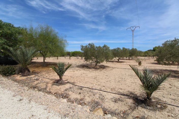 Image No.15-Land for sale