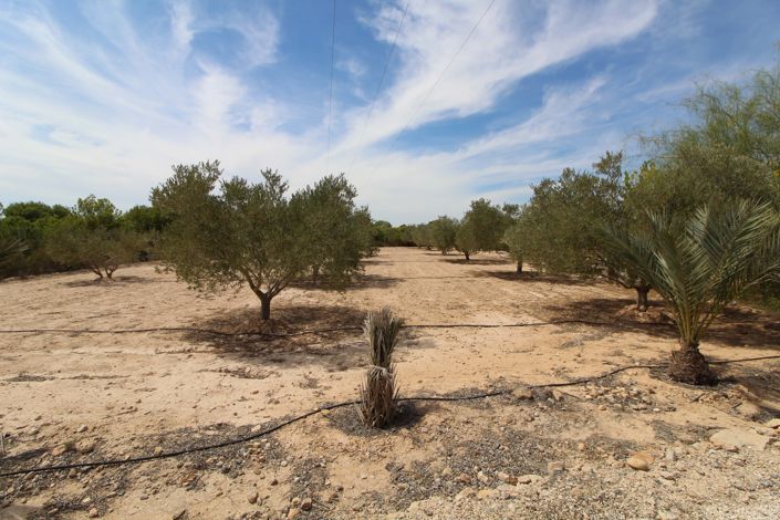 Image No.16-Land for sale