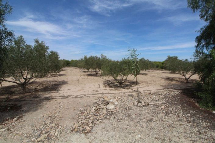 Image No.3-Land for sale