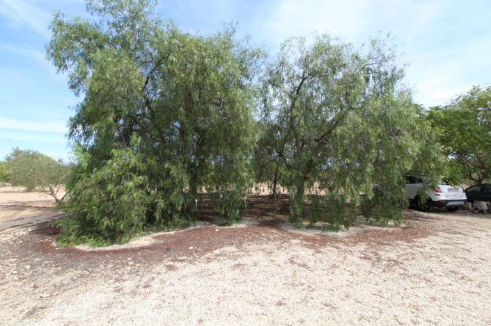 Image No.4-Land for sale