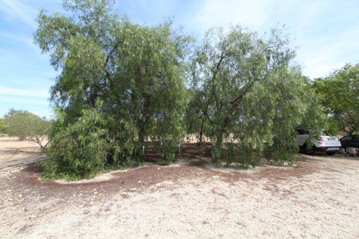 Image No.4-Land for sale