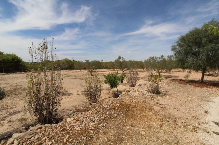 Image No.6-Land for sale