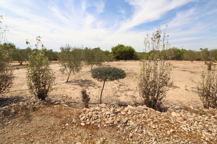 Image No.7-Land for sale