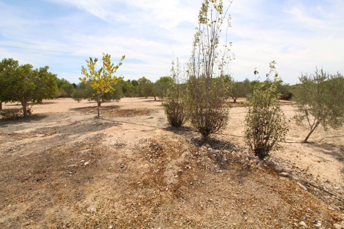 Image No.8-Land for sale