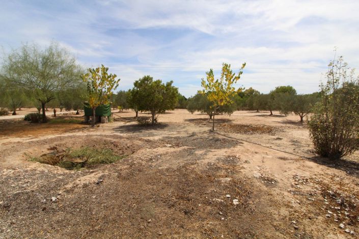 Image No.9-Land for sale