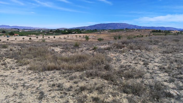 Image No.2-Land for sale