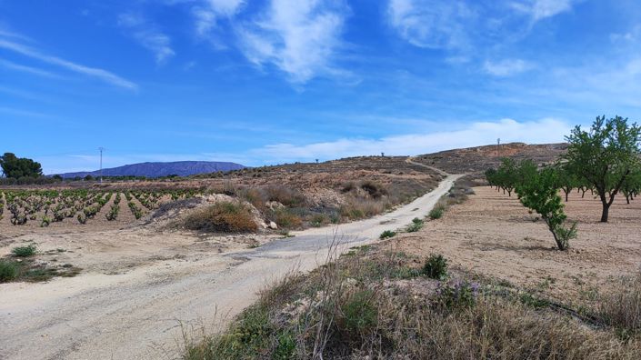 Image No.6-Land for sale