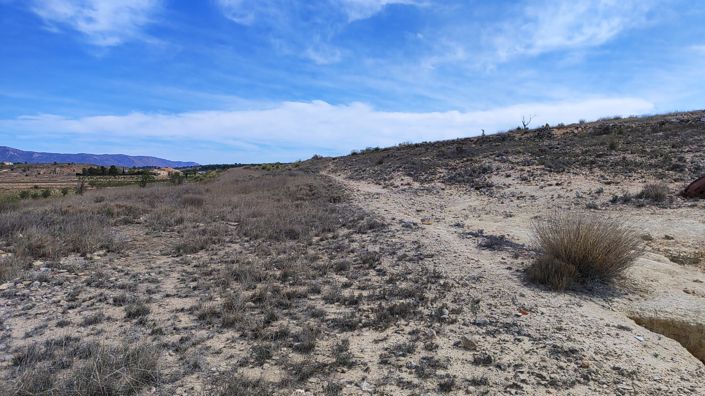 Image No.8-Land for sale