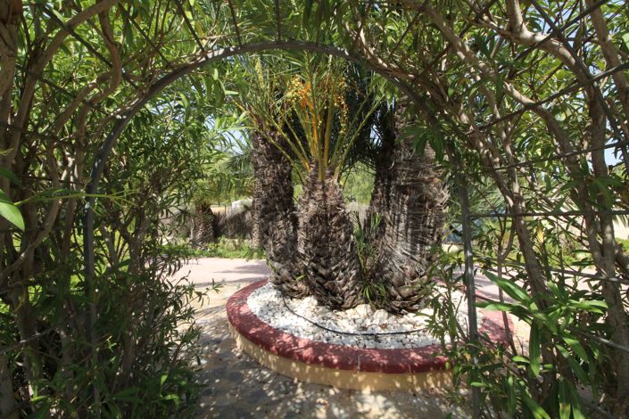 Image No.37-6 Bed Villa for sale