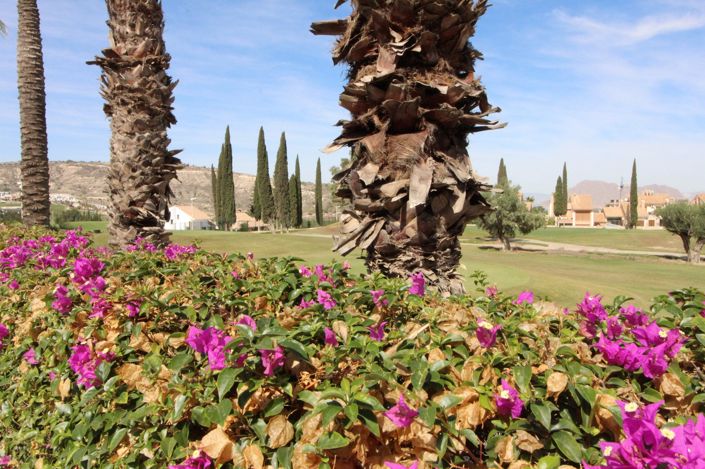 Image No.33-3 Bed Villa for sale