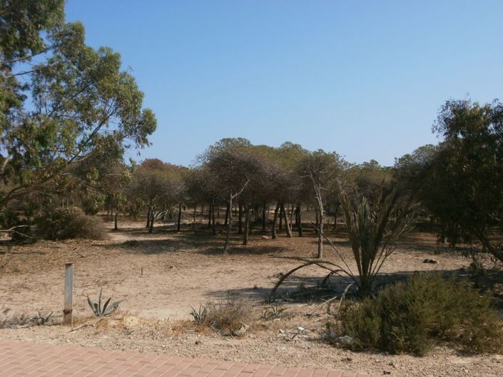 Image No.30-2 Bed Apartment for sale