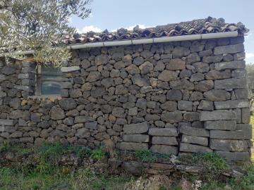 20220322_110852-min