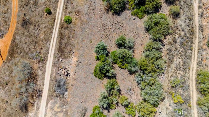 Image No.2-Land for sale