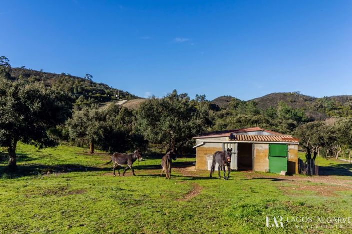 Image No.52-Villa de 4 chambres à vendre à Aljezur