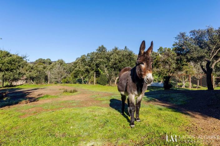 Image No.6-Villa de 4 chambres à vendre à Aljezur
