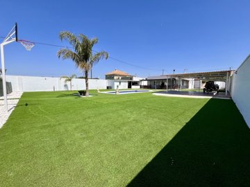 img1739xlarge