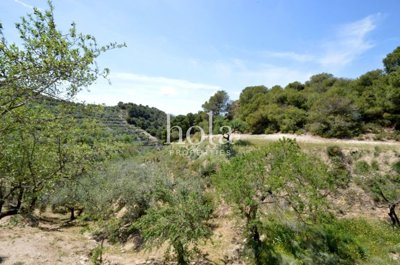 listing49709600175f8cafc52560x1920c4ec654dec5