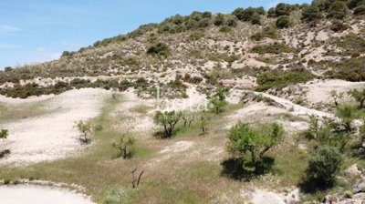 listing49709600194658aca92560x1920c4ec654dec5