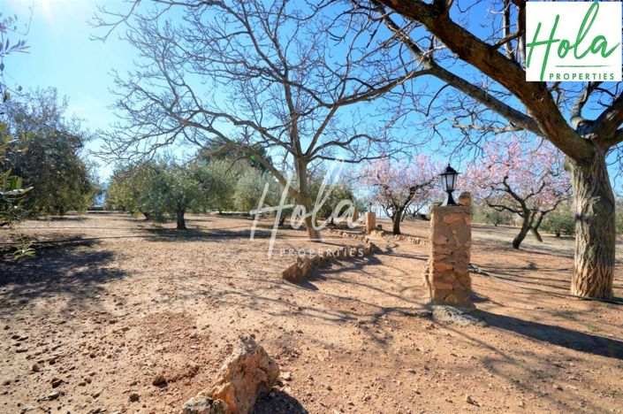 Image No.15-Maison de campagne de 2 chambres à vendre à Lanjarón