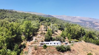 listing5162080027f32001c02560x1920c4ec654dec5