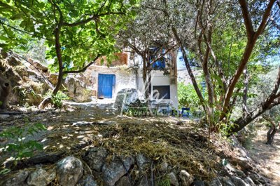 listing82839900053fb0f38a2560x1920edede093cef