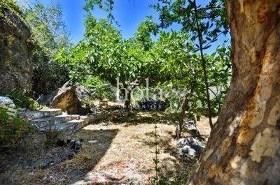 listing8283990008a622e2952560x1920c4ec654dec5