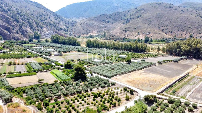 Image No.12-Maison de campagne de 3 chambres à vendre à Orgiva