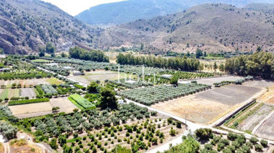 listing833265001024d323232560x1920c4ec654dec5