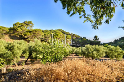 listing8360710029e3770f0e2560x1920c4ec654dec5