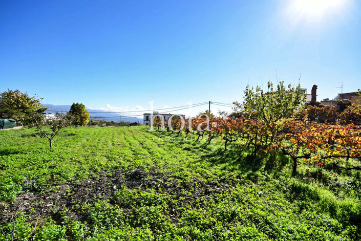 Image No.20-Chalet de 4 chambres à vendre à Yegen