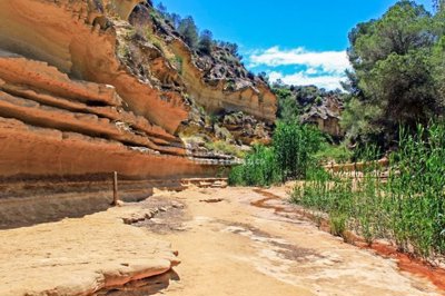 d62f4cc480c86462f4cc480c8a5