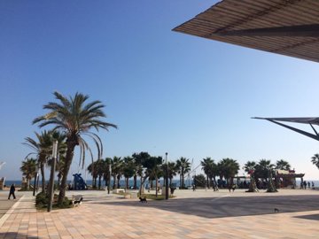 o1jfas50cr1s91182rcth1dbd1h4r2g