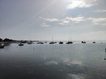 o1jjgtkqkp14c71kqtmn5dn7ch01u