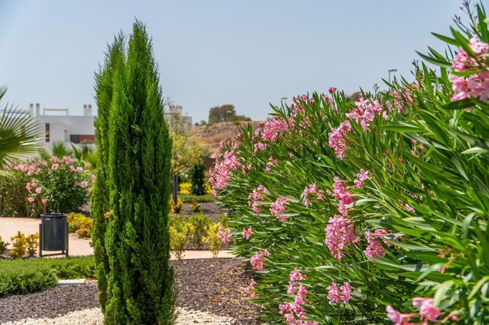 Image No.7-2 Bed Apartment for sale