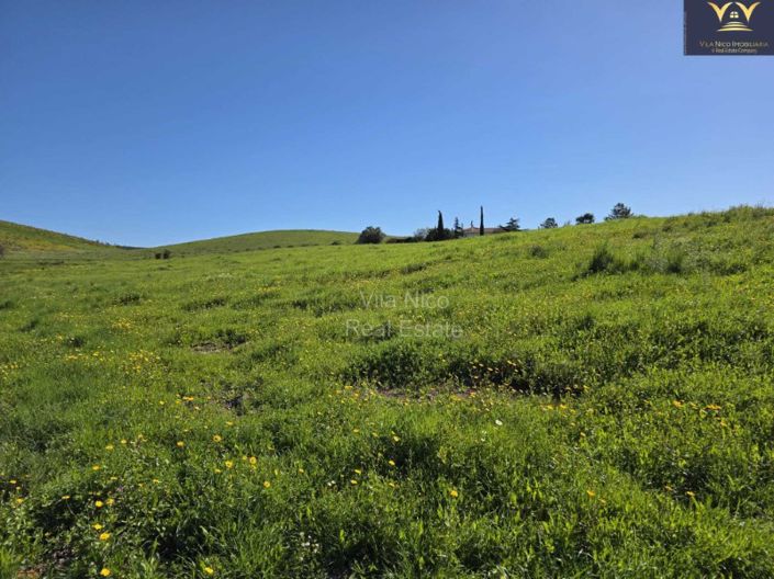 Image No.2-Plot for sale