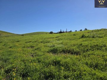 id0ccdc601-0000-0500-0000-000018fa3cb8