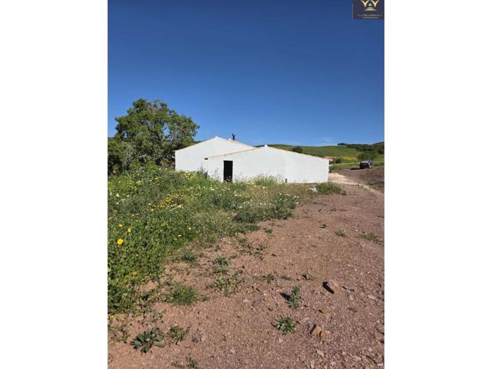 Image No.6-Plot for sale