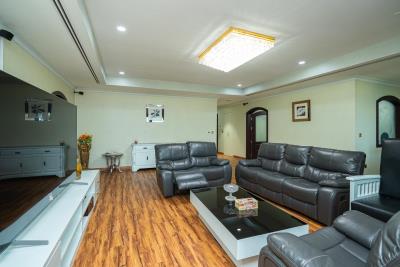 3782584-23fa8a41