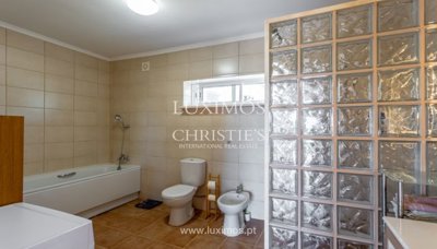 prod267587lg