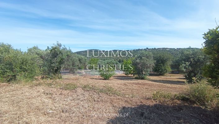 Image No.16-Villa de 3 chambres à vendre à Sao Bras de Alportel