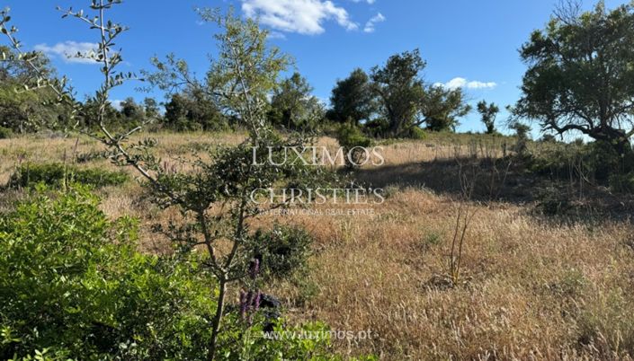 Image No.5-Terre à vendre à Silves