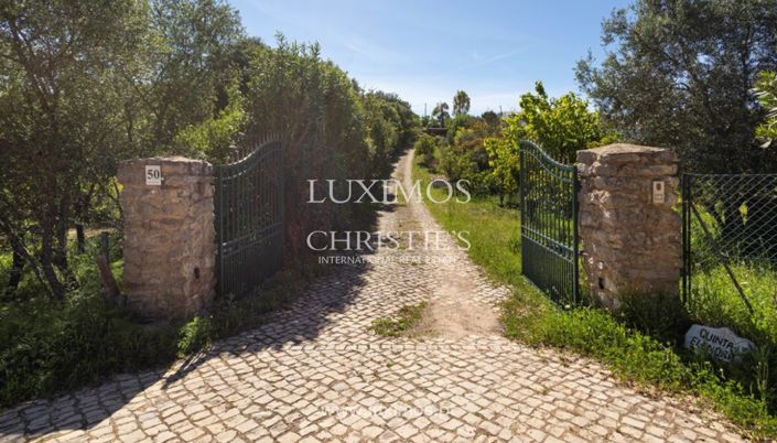 Image No.23-Ferme de 4 chambres à vendre à Loule