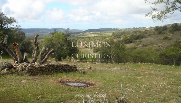 Image No.3-Land for sale