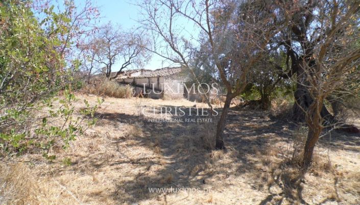 Image No.3-Terre à vendre à Loule