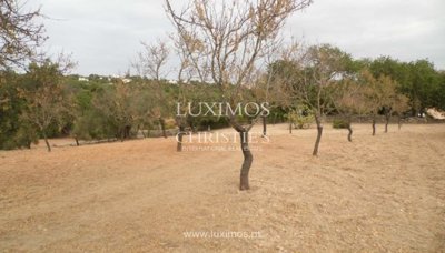1 - Loule, Land
