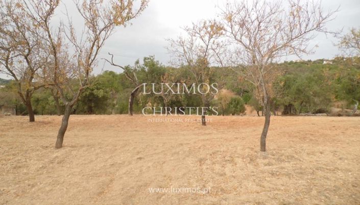 Image No.3-Terre à vendre à Loule